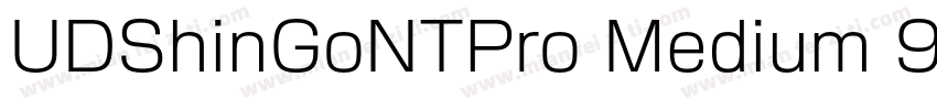 UDShinGoNTPro Medium 9字体转换